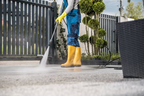 Best Roof Power Washing Services  in Edwardsvle, IL