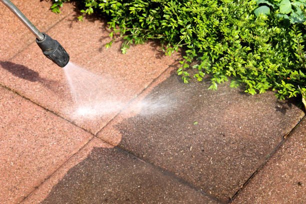 Best Deck Cleaning Services  in Edwardsvle, IL