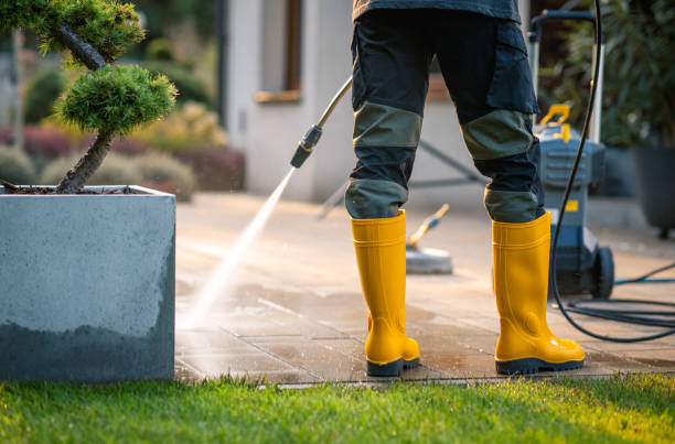 Best Local Pressure Washing Services  in Edwardsvle, IL